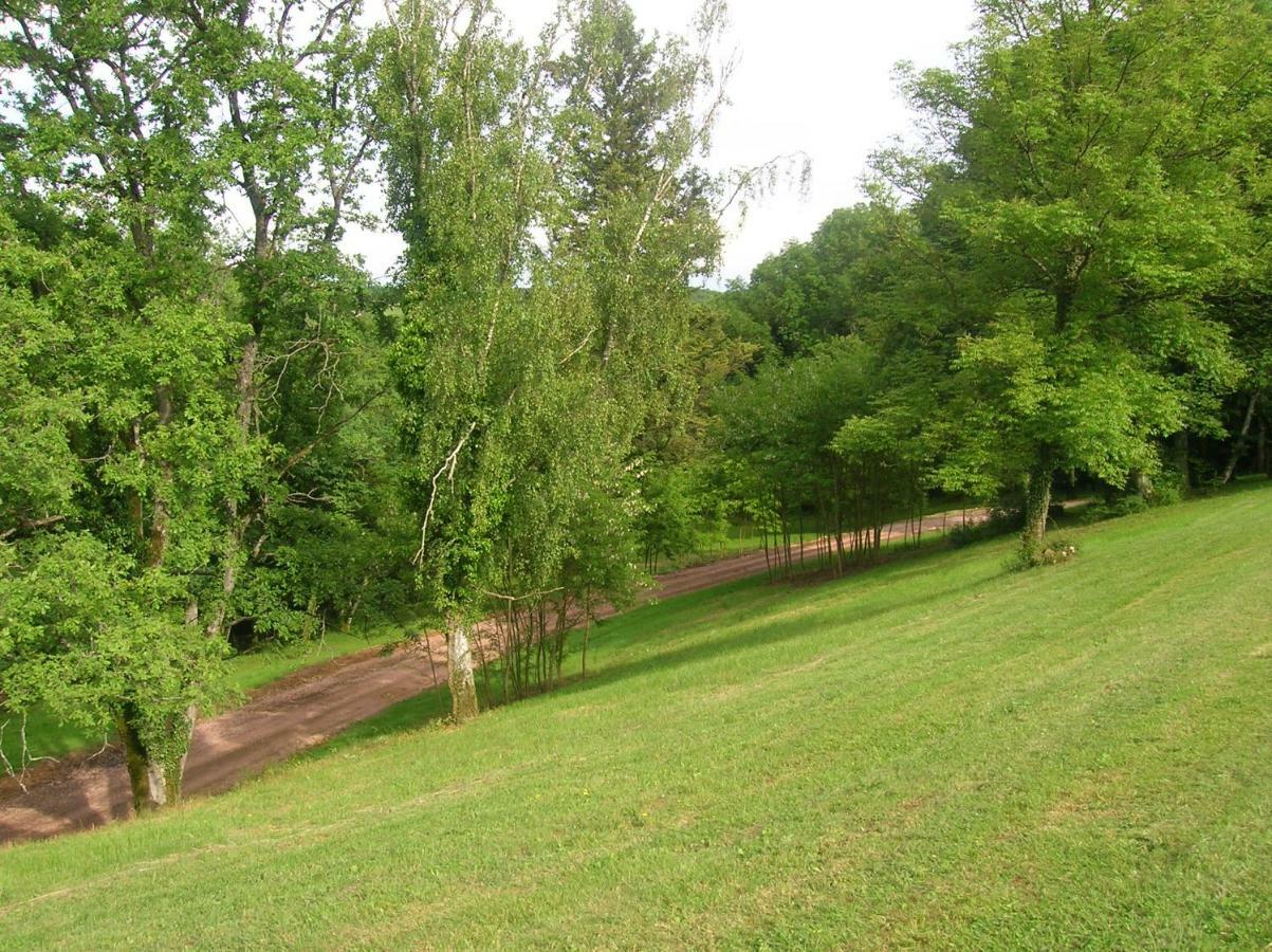 Le Domaine De Rochefort Bed & Breakfast Dissangis Exterior photo